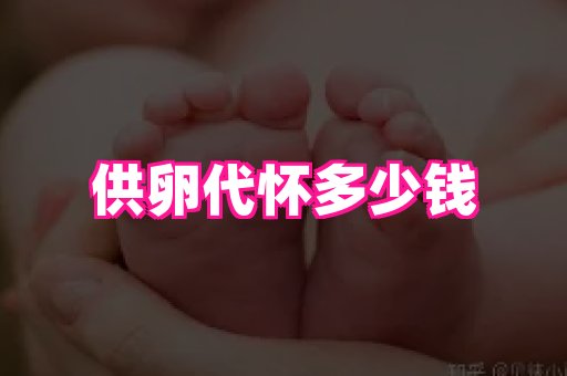 东莞助孕网站 1