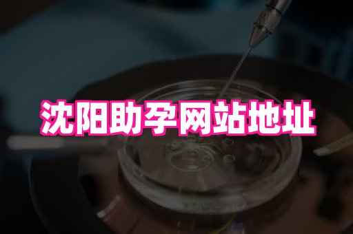 东莞助孕网站 3