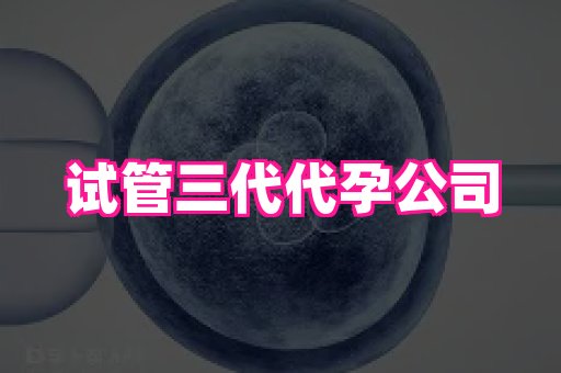 东莞助孕网站 4
